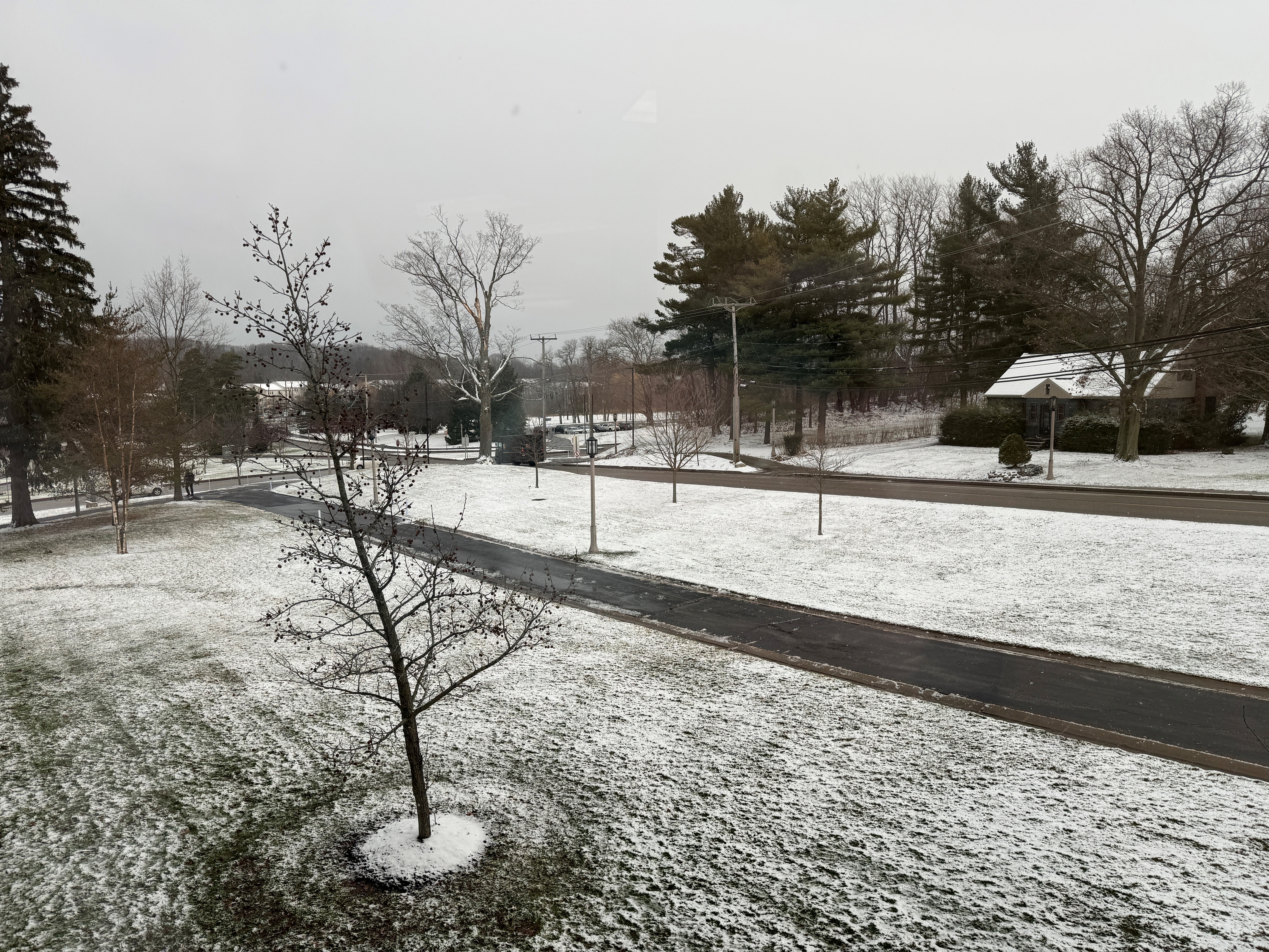 snowy landscape